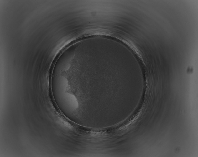 X0000091690790200708301539