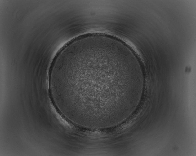 X0000091690791200708301539