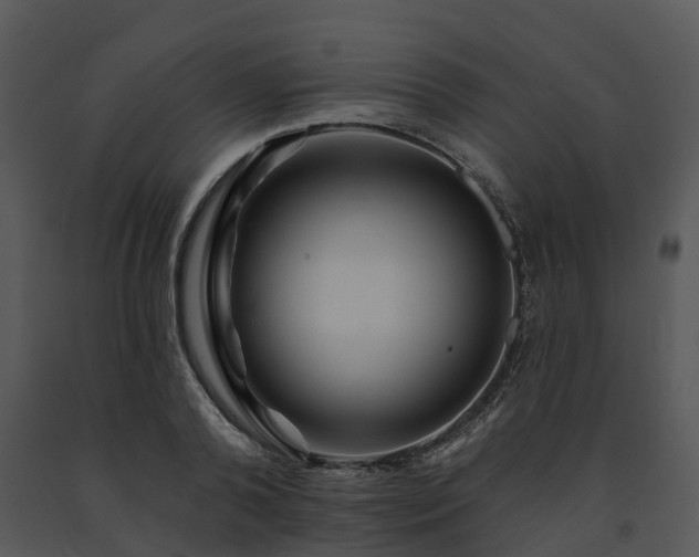 X0000091690792200708301539