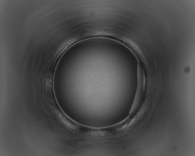 X0000091690793200708301539