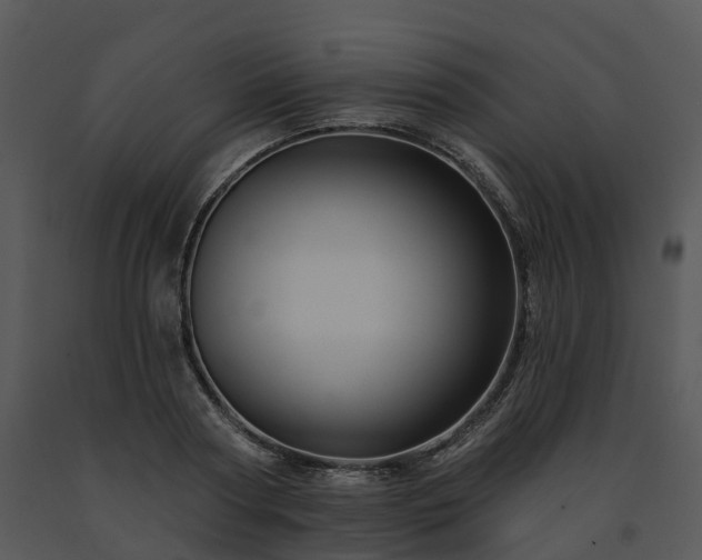 X0000091690794200708301539