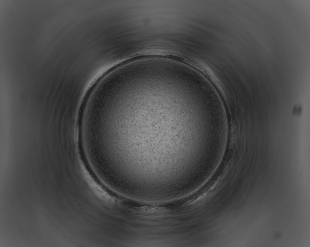 X0000091690795200708301539