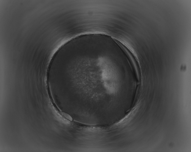 X0000091690797200708301539