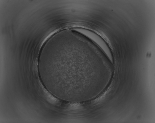 X0000091690798200708301539