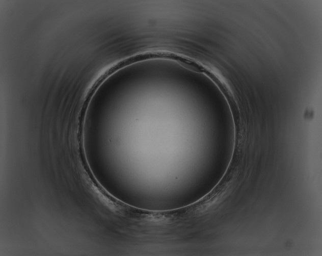 X0000091690799200708301539