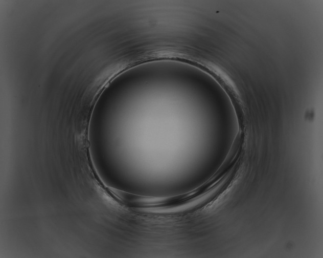 X0000091690801200708301539