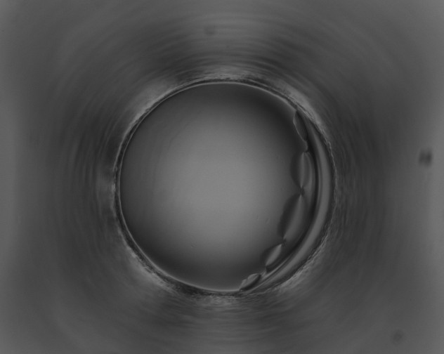 X0000091690802200708301539