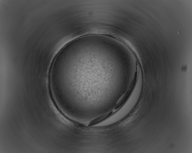 X0000091690803200708301539
