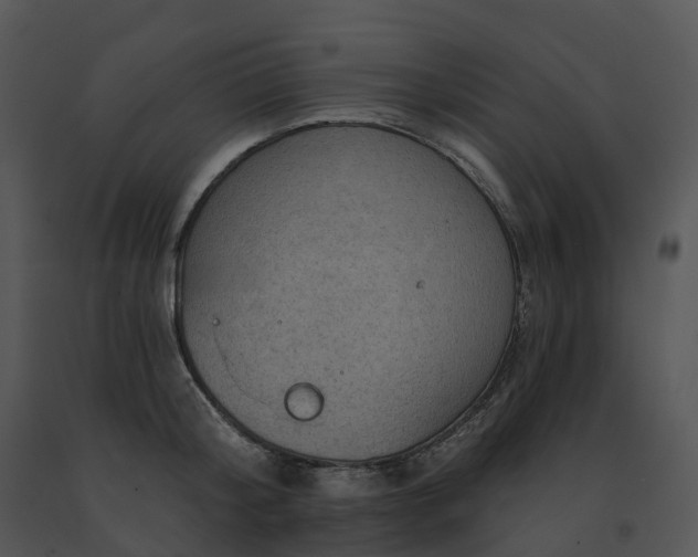 X0000091690804200708301539