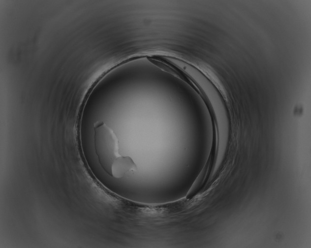 X0000091690805200708301539