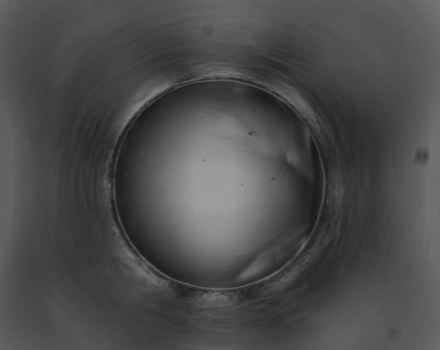 X0000091690806200708301539