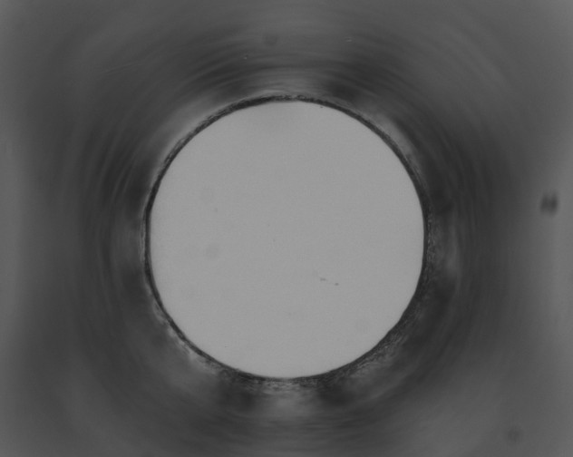 X0000091690807200708301539
