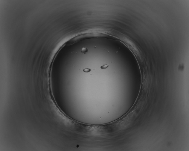 X0000091690808200708301539