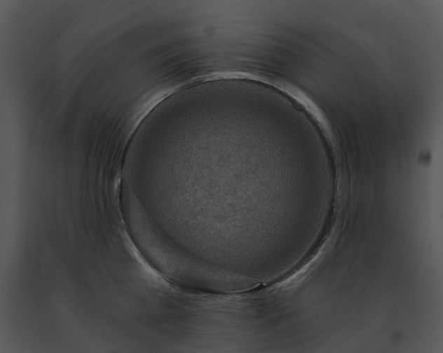 X0000091690809200708301539