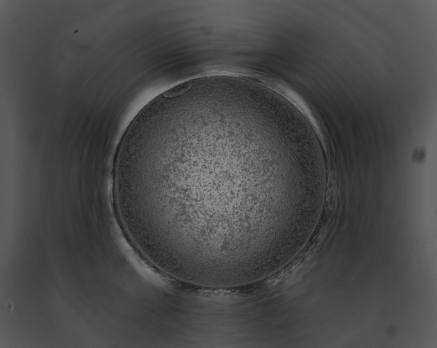 X0000091690811200708301539