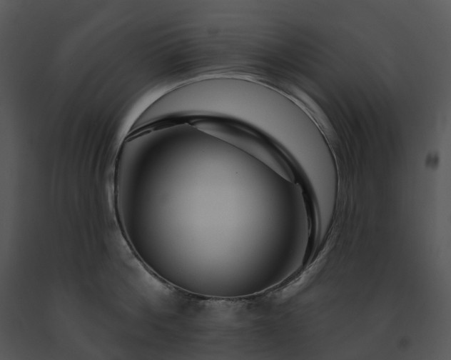 X0000091690812200708301539
