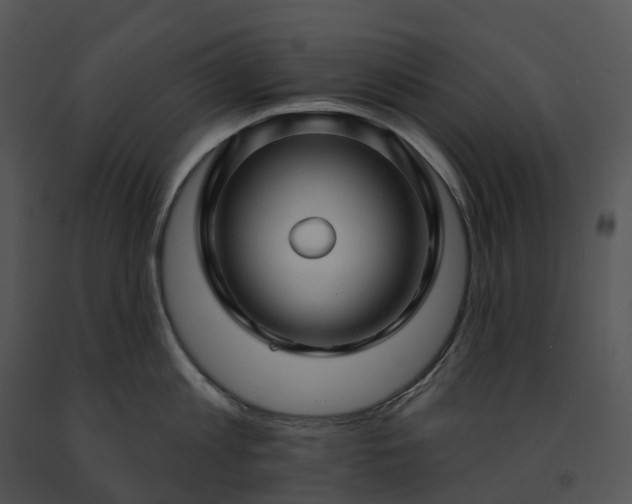 X0000091690813200708301539