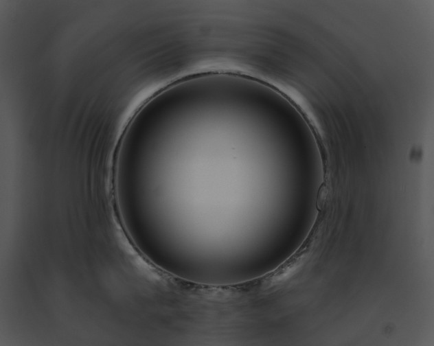 X0000091690815200708301539