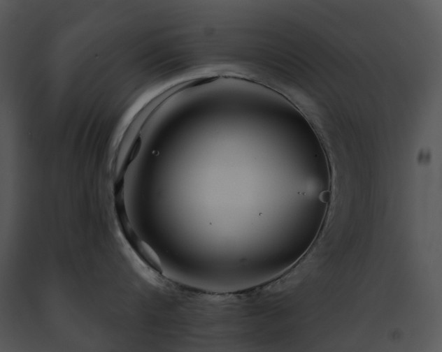 X0000091690816200708301539