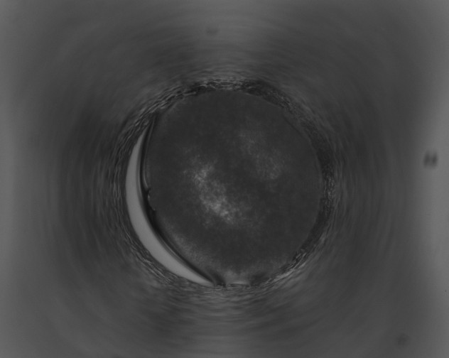 X0000091690818200708301538