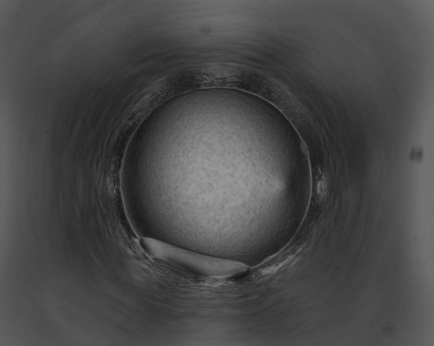 X0000091690819200708301538