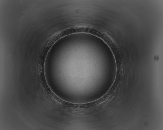 X0000091690821200708301538