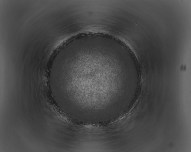 X0000091690823200708301539