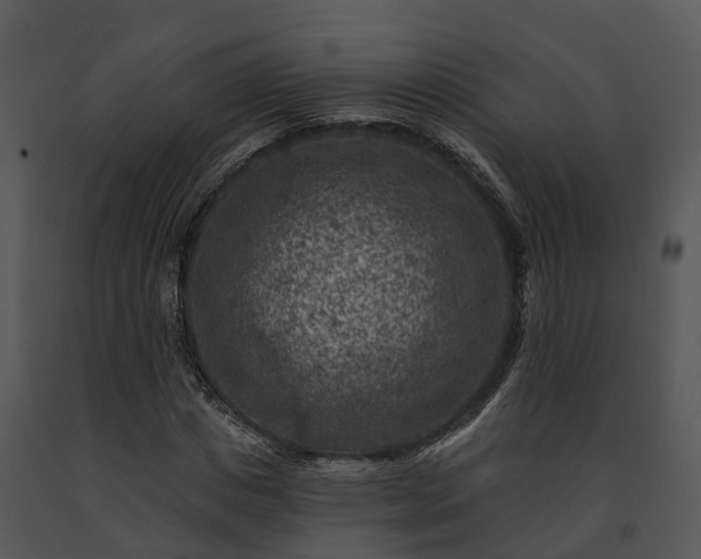 X0000091690825200708301539