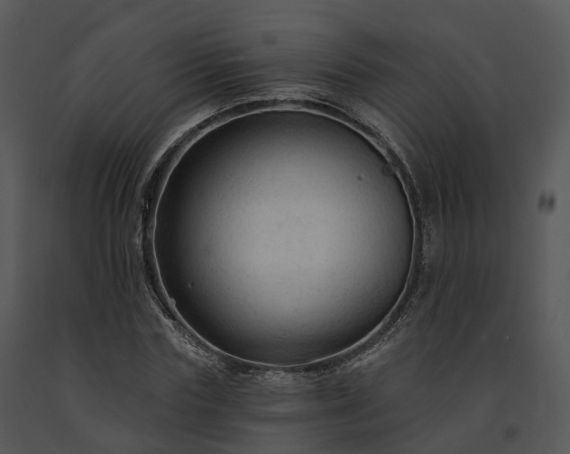 X0000091690827200708301539