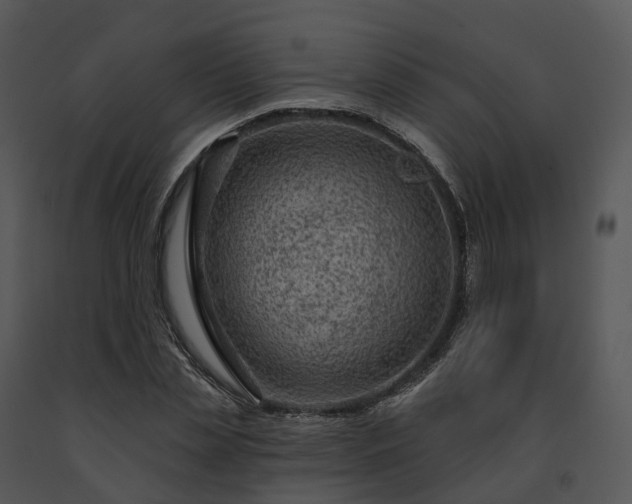 X0000091690829200708301539