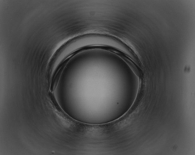 X0000091690830200708301539