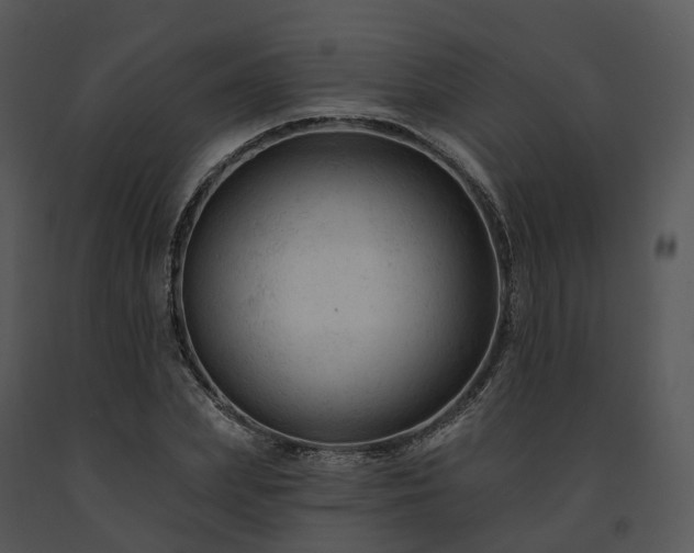 X0000091690831200708301539