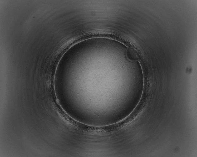 X0000091690833200708301539