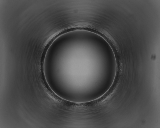 X0000091690834200708301539
