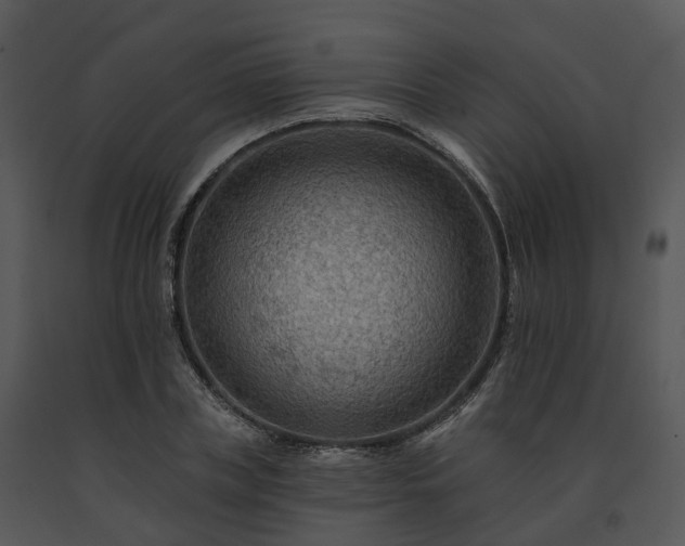 X0000091690835200708301539
