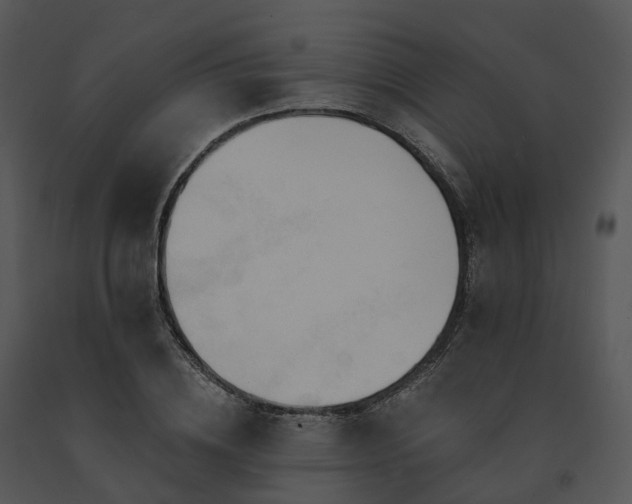 X0000091690836200708301539