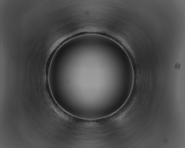 X0000091690837200708301539