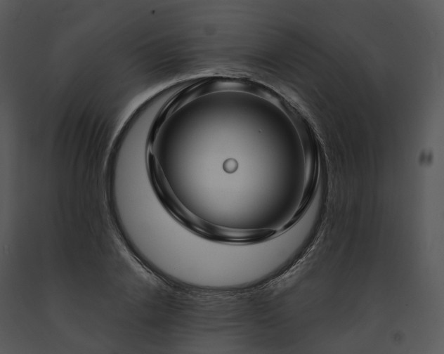 X0000091690838200708301539