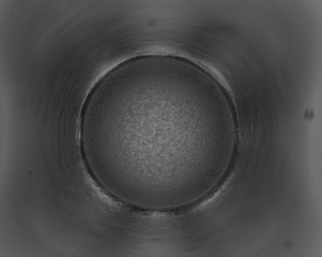 X0000091690839200708301539
