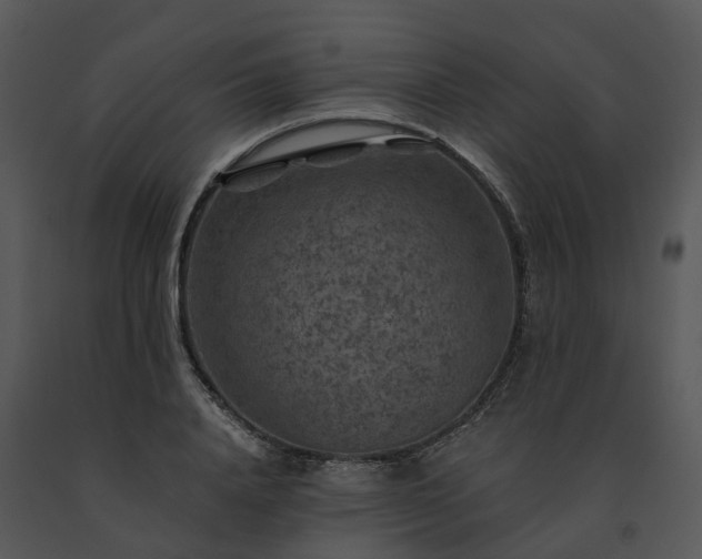 X0000091690840200708301539