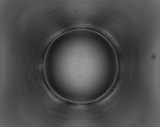 X0000091690841200708301539