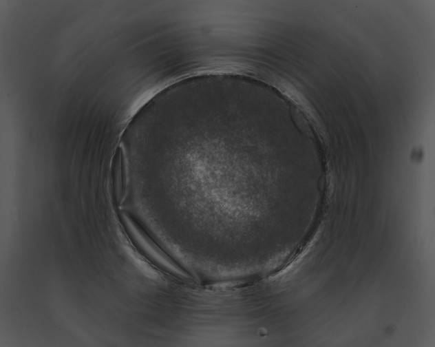 X0000091690842200708301539