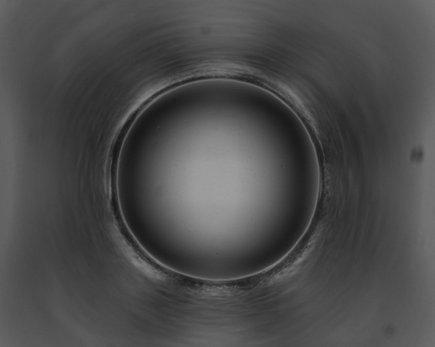X0000091690843200708301539
