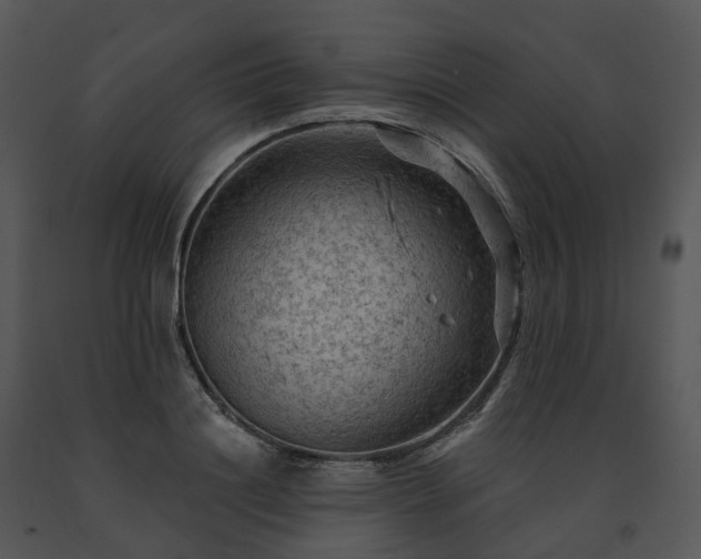 X0000091690844200708301539