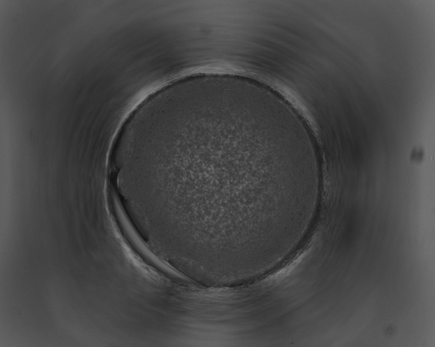X0000091690845200708301539