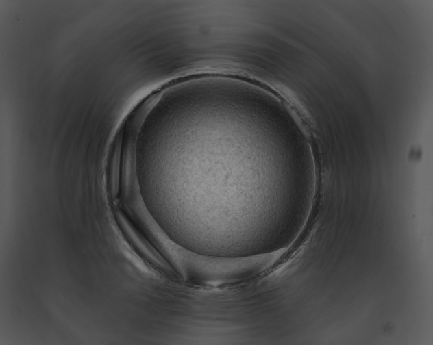 X0000091690846200708301539