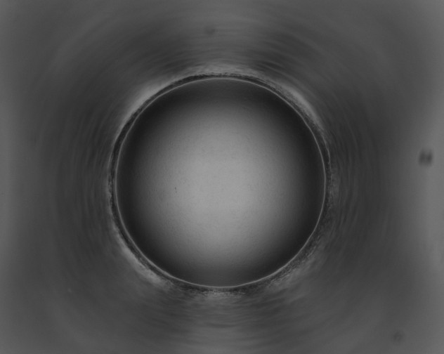 X0000091690847200708301539