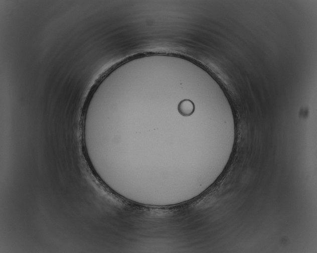 X0000091690848200708301539