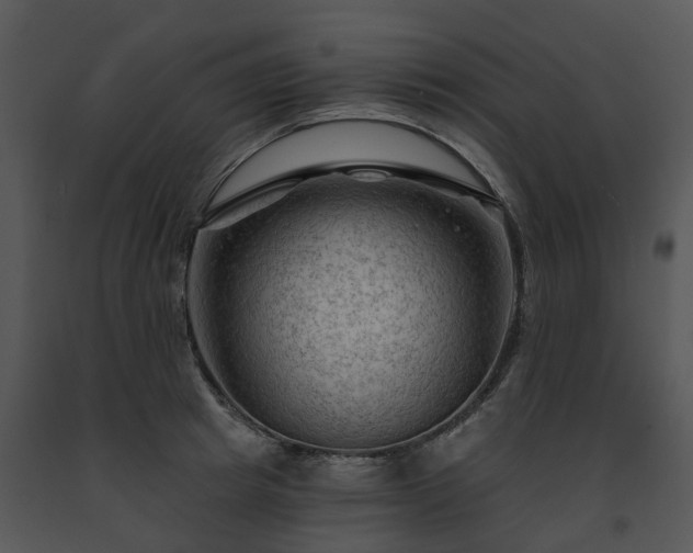 X0000091690849200708301539