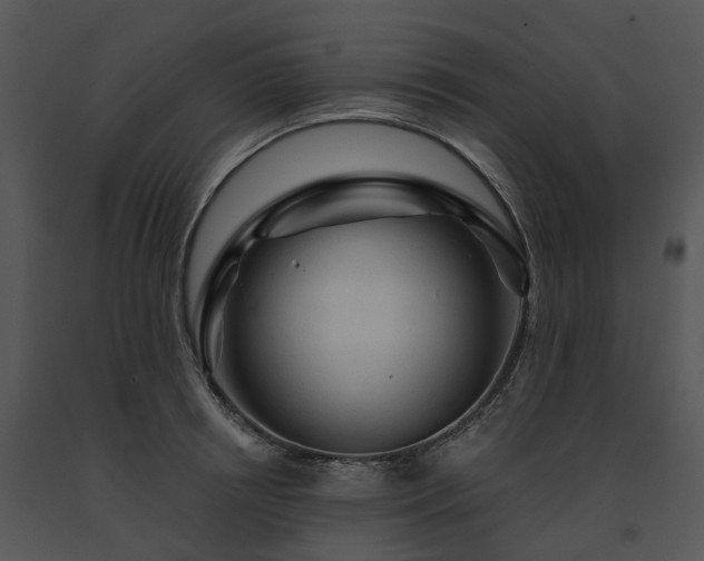 X0000091690850200708301539